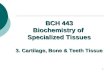 1 BCH 443 Biochemistry of Specialized Tissues 3. Cartilage, Bone & Teeth Tissue.