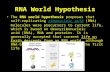 RNA World Hypothesis The RNA world hypothesis proposes that self- replicating ribonucleic acid (RNA) molecules were precursors to current life, which is.
