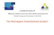 CARBOOCEAN-IP Marine carbon sources and sinks assessment “Global Change and Ecosystems” (511176) The Norwegian CarboSchool project.