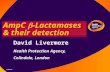 12 August 2003 AmpC  -Lactamases & their detection David Livermore Health Protection Agency, Colindale, London.