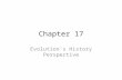 Chapter 17 Evolution’s History Perspective.  evolution/index.html.