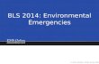 BLS 2014: Environmental Emergencies.  This course addresses:  Cold and heat related emergencies  Water emergencies  Stings & bites  Anaphylaxis and.