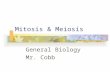 Mitosis & Meiosis General Biology Mr. Cobb. Cell Theory According to the cell theory, all cells come from pre-existing cells. But why do cells reproduce?