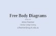 Free Body Diagrams Session A19 Amos Freeman Christian College Geelong a.freeman@ccg.vic.edu.au.