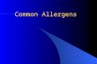 Common Allergens. Objectives Identify common allergens Understand the relationship of allergens to symptoms Differentiate seasonal and perennial allergies.