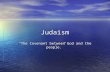 Judaism “The Covenant between God and the people.”