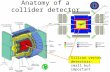Anatomy of a collider detector Silicon vertex detectors- small but important.