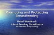 Promoting and Protecting Breastfeeding Hazel Woodcock Infant Feeding Coordinator RFT Obstetrics & Gynaecology.