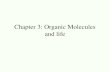 Chapter 3: Organic Molecules and life. I. Intro: Carbon & organic chemistry A. “Organic” =