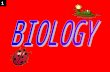1 What is Biology ? Study of Life Bios- =life -logy = study of 2.