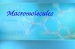Macromolecules. Organic Compounds CompoundsCARBON organicCompounds that contain CARBON are called organic. –This is different from organic foods in the.