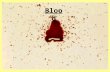 Blood Is it Blood? Obvious –Not always an easy determination Not Obvious –Stains on clothes, carpet, etc. Presumptive Tests – Blood indicated on… Confirmatory.
