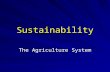 Sustainability The Agriculture System. NON-SUSTAINABLESUSTAINABLE transition PROCESS Meet Future Needs Degradation Erosion of Values The Trend.