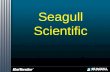 Seagull Scientific.  Who is Seagull Scientific?  Windows Architecture  BarTender Editions  BarTender Upgrades  Why BarTender?  Conclusion Introduction.