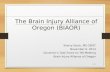 1 The Brain Injury Alliance of Oregon (BIAOR) Sherry Stock, MS CBIST November 6, 2013 Governor’s Task Force on TBI Meeting Brain Injury Alliance of Oregon.