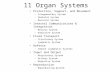 11 Organ Systems Protection, Support, and Movement – Integumentary System – Skeletal System – Muscular System Internal Communications & Integration – Nervous.