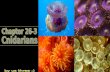 Cnidarians include jellyfishes, hydras and their relatives, and sea anemones and corals. soft-bodied, carnivorous animals that have stinging tentacles.