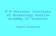 P.P.Shirshov Institute of Oceanology Russian Academy of Sciences Tamara Shiganova.