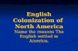 English Colonization of North America Name the reasons The English settled in America.
