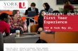 Tanya Da Sylva, Rosanna Furgiuele, Mazan Hamadeh, Janice Newton, Agata Stypka, Diane Beelen Woody Plenary : the First Year Experience TIF @ York May 21,