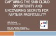 CAPTURING THE SMB CLOUD OPPORTUNITY AND UNCOVERING SECRETS FOR PARTNER PROFITABILITY AMI-Partners 546 Fifth Avenue, New York New York, Houston, Singapore,