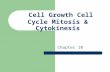 Cell Growth Cell Cycle Mitosis & Cytokinesis Chapter 10.