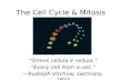 The Cell Cycle & Mitosis “Omnis cellula e cellula.” “Every cell from a cell.” —Rudolph Virchow, Germany, 1855.