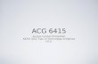 ACG 6415 Access Control Simulation AICPA 2012 Top 10 Technology Initiatives I.R.S.
