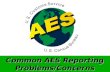 Common AES Reporting Problems/Concerns. l Proper Format Options 2 and 3 NDR AES Filer ID-SRN NDR AES 123456789-HOU12345 NDR AES X20001121000123 Option.