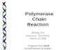 Biology 224 Instructor: Tom Peavy March 20, 2008  Polymerase Chain Reaction.