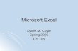 Microsoft Excel Diane M. Coyle Spring 2009 CS 105.