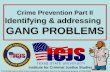 Crime Prevention Part II Identifying & addressing GANG PROBLEMS ©TCLEOSE Course #2102 Crime Prevention Curriculum Part II is the intellectual property.