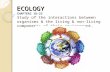 ECOLOGY CHAPTERS 18-23 Study of the interactions between organisms & the living & non-living components of their environment.
