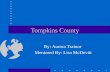 Tompkins County By: Aurora Trainor Mentored By: Lisa McDevitt.
