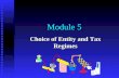 Module 5 Choice of Entity and Tax Regimes. Module Topics n Overview of business entities n Comparison of different business entities n Kinds of business.