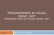 PROGRAMMING IN VISUAL BASIC.NET INTRODUCTION TO VISUAL BASIC.NET Bilal Munir Mughal 1 Chapter-1.