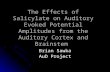 The Effects of Salicylate on Auditory Evoked Potential Amplitudes from the Auditory Cortex and Brainstem Brian Sawka AuD Project.