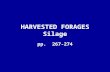 HARVESTED FORAGES Silage pp. 267-274. ENSILING What is ensiling? –Storing a forage or grain crop at a relatively high moisture concentration in anerobic.