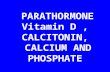 PARATHORMONE Vitamin D, CALCITONIN, CALCIUM AND PHOSPHATE.