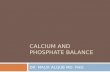 CALCIUM AND PHOSPHATE BALANCE DR. MALIK ALQUB MD. PHD.