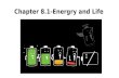 Chapter 8.1-Energry and Life. Chemical Energy In Cells -Is stored as ATP -Adenosine triphosphate - Adenine, ribose, 3 phosphate groups -Bonds in ATP can.