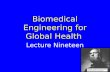 Lecture Nineteen Biomedical Engineering for Global Health.