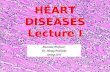 HEART DISEASES Lecture I Associate Professor Dr. Alexey Podcheko Spring 2015.