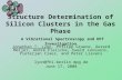 Structure Determination of Silicon Clusters in the Gas Phase A Vibrational Spectroscopy and DFT Investigation Jonathan T. Lyon, Philipp Gruene, Gerard.