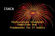 ISACA Professional Standards Committee and Frameworks for IT Audits.