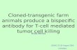 Cloned-transgenic farm animals produce a bispecific antibody for T-cell mediated tumor cell killing ISSAG 22-26 August 2005 VITERBO Rosa Minoia.