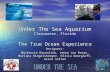 Under The Sea Aquarium Clearwater, Florida The True Ocean Experience Designers: Mackenzie Rosenlieb, Jenna Lea Rosen, Mariana Riegelsberger, Olivia Georgieff,