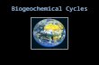 Biogeochemical Cycles. Something to think about… A handful of elements combine to form the building blocks of all known organisms. Organisms cannot manufacture.