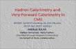 Hadron Calorimetry and Very-Forward Calorimetry in CMS Hadron Calorimetry and Very-Forward Calorimetry in CMS IPM09: 1st IPM Meeting On LHC Physics, 20-24.