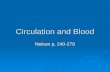 Circulation and Blood Nelson p. 240-279. Practice Sets  Importance of a Circulatory System Read p. 242-243 Read p. 242-243 Questions p243 #1-4 Questions.